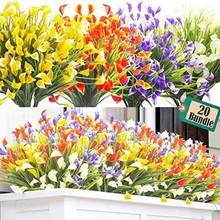 Rd羳Rɏݷ滨@ˇbٻ^25SֱN