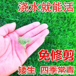 �o�²�ƺ�N���ļ�������ݹ��������Ѹ���é��Ľ����������~�ݷN