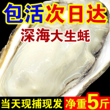 ������ɽ����r��ĵϠ���r�ش�ʺ�Ϡ��5�ﺣ�rˮ�a������S���]