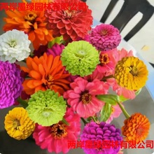 羳ľ߲ذ껨Nļ_ͥԺղݻN