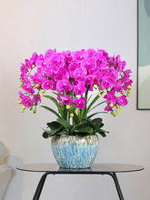 �ָб�������m����Ʒ�|�ٻ��͏d�ҕ�������[�O���m��������