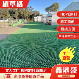 植草格马术场绿化小区草坪护坡蜂巢塑料建材停车场碎石铺路草方格