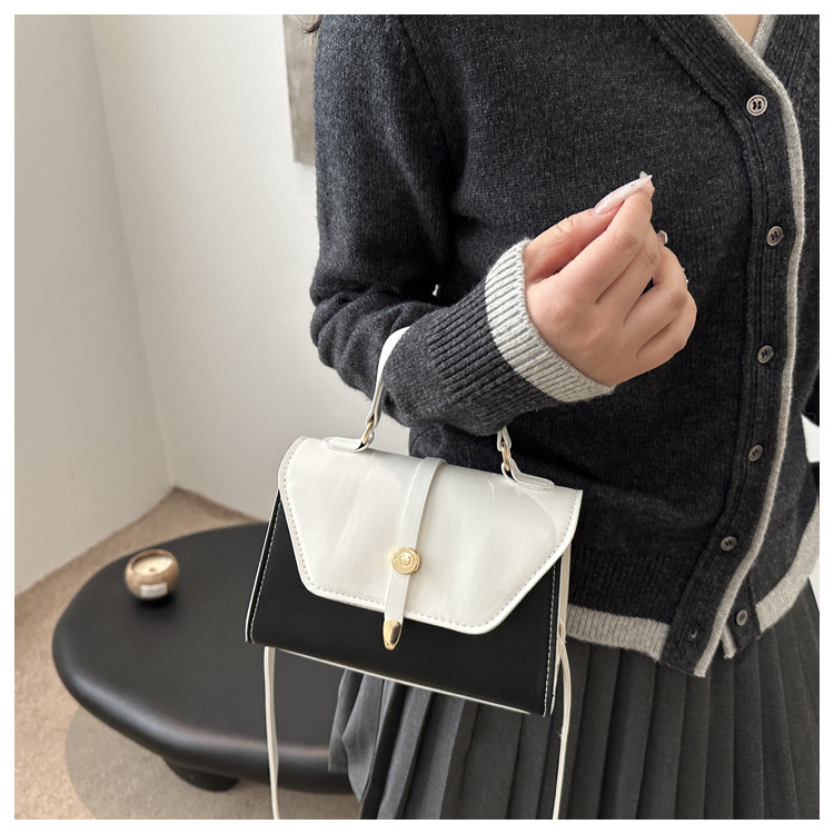 Women's Small Pu Leather Color Block Classic Style Square Magnetic Buckle Crossbody bag BAX display picture 3