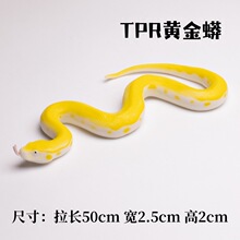 TPRܛ�z��ģ���S�������~�����M���˼��߹��ݔ[������f�}�����