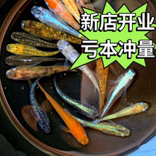 �^�����F�^�p�~ħ���~��ˮ��ˮС���\�����~���������B�׻�