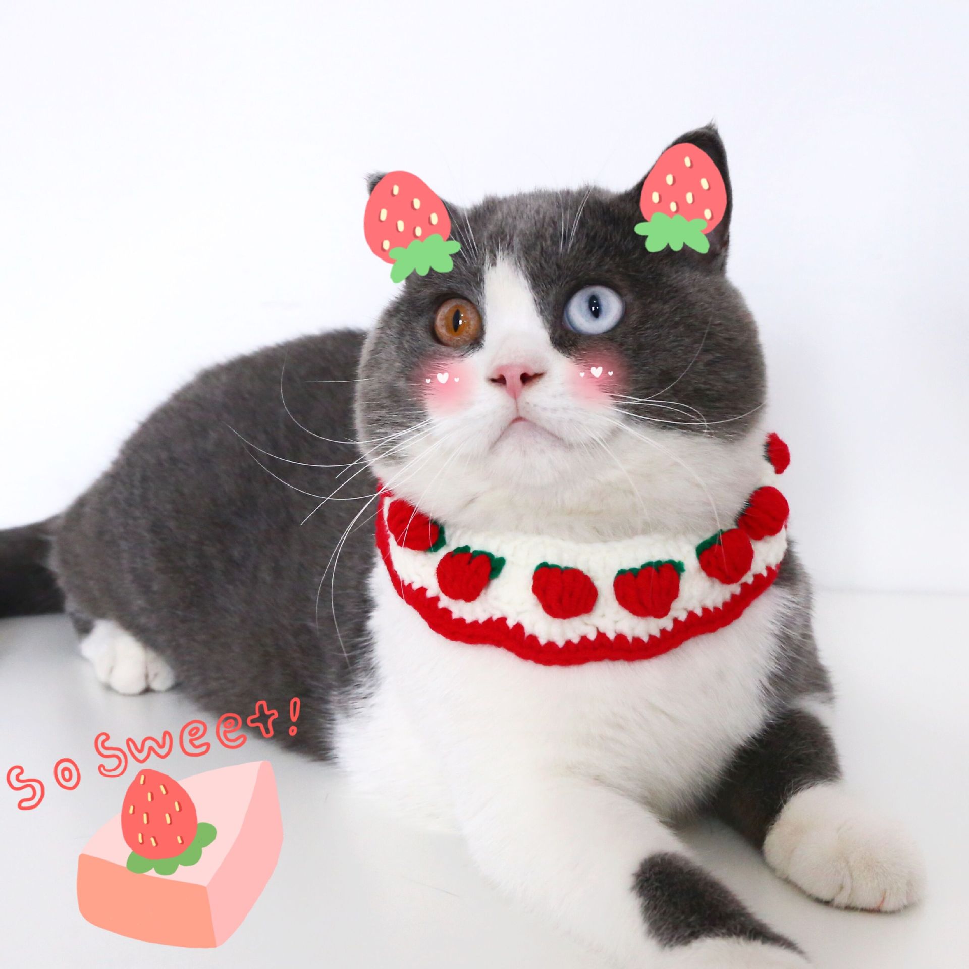 Gancho de mano de tejido de mascotas lindo estofado arco gatos perros collar lana Cole pato buñuelo collar