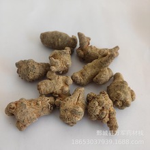 40�^���߮a�����l���� �������� ���lɢ�b �a��؛ԴƷ�|���C