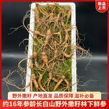 �r�����L��ɽ����ԭ�a��������gɽ���Ҝ��ݾ����]