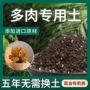 多肉种植土绿植营养土