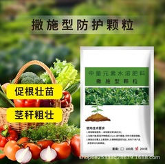 工場供給の中量要素水溶性肥料散布型保護粒、根を促進し苗を強化するカラー控放性肥料顆粒、ホウ素