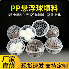 pp�Ҹ�������  �۰������d����Ĥ�d�w �����������D���θ�������