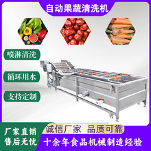 商用清洗果蔬加工设备 生姜高压气泡清洗机 菠菜山楂萝卜全套清洗