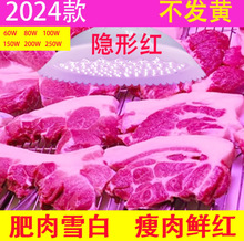 �������r���i���r�������ţ������Ј���ˮ�����׹��[�μt