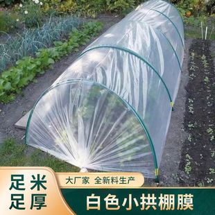 Cylindrical Plastic Film Transparent Extra Thick Double-Layer Plastic Cloth Covering Green Storage Agricultural Plastic Paper Aliexpress One Piece Wholesale