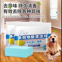 床の清潔な片は地面の神器の木の床のタイルの清潔剤を引きずって汚れを残します。