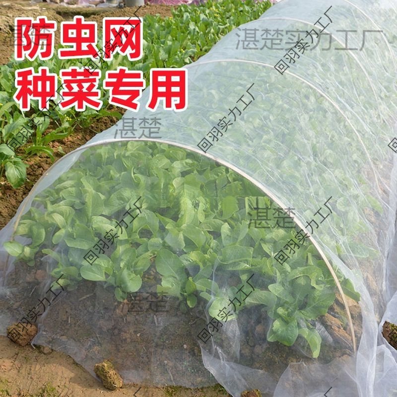 新款防虫网种菜80目防虫罩加密纱网菜地果园网蔬菜防鸟罩菜园菜地