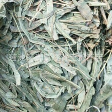 七星剑,【别名】小叶不红、假芥兰、星色草,大货批发中药材七星