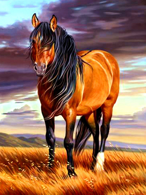 3D Embroidery Diamond Painting 1