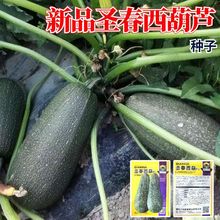 ��Ʒ�}�������J�N����Ʒ�N�ǹϷN�������ͺ��͟�߮a�߲˷N�Ӵ�ȫ