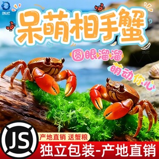 ����з��ˮ�з���w�^�pз��������ˮ��з����з����зˮ���坍��