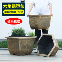 �S��ֱ�l�����ش�̖���ϻ���Ӻ��֬˯ɏ�ɻ�ͥԺ�����F��Nֲ��