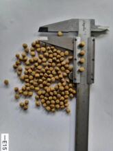 40���b�������ý���ɢ�b������Z�^�p������������ˮ��ͨ����