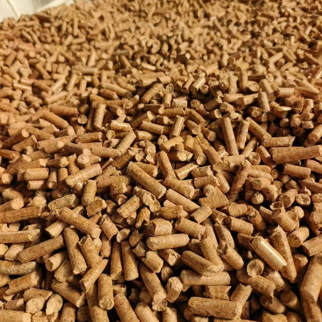 2025-03-27 16:00:22.jpg