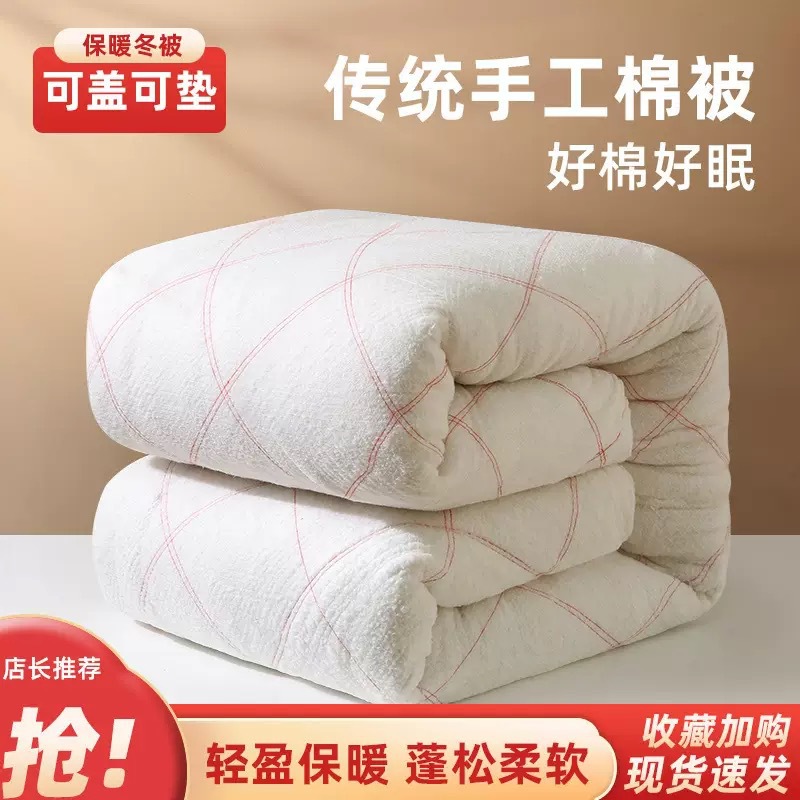 Wholesale Cotton Quilt Student Dormitory Mattress Single Quilt Core Spring Autumn Winter Thickened 5kg Quilt Bedding