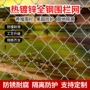 防护果园养殖养鸡钢丝网