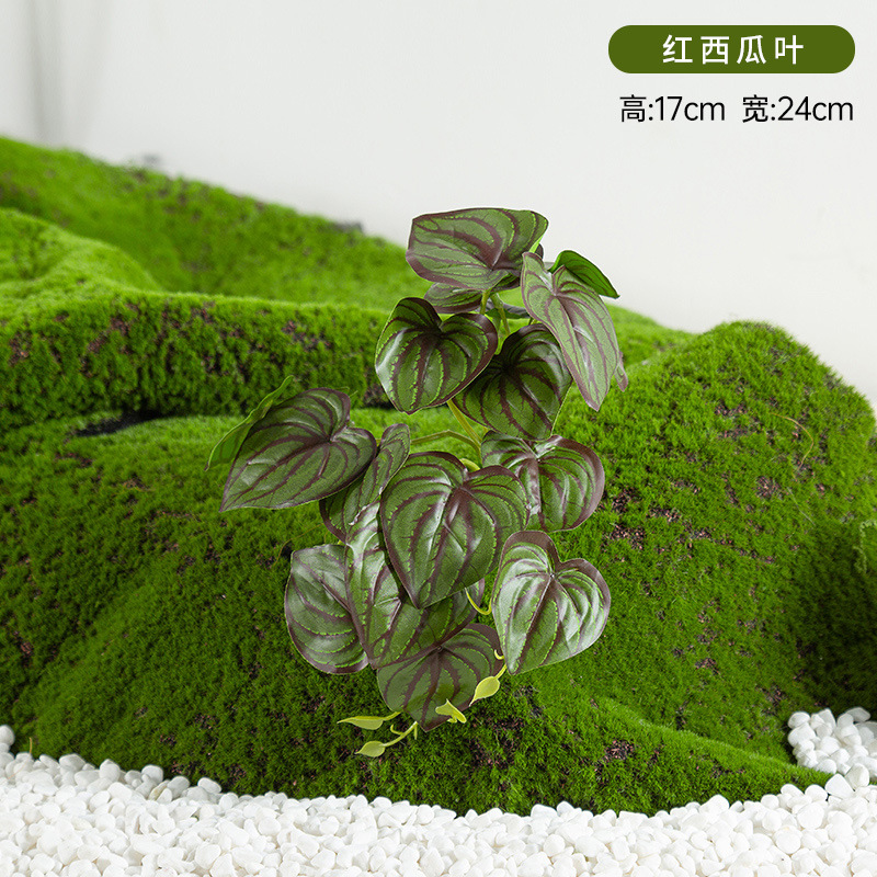 Simulación de plantación y paisajismo verde, materiales de distribución pequeños de todo uso, materiales auxiliares, arreglos florales, helechos, césped falso, decoración de plantas pequeñas, decoración de paisaje image 22