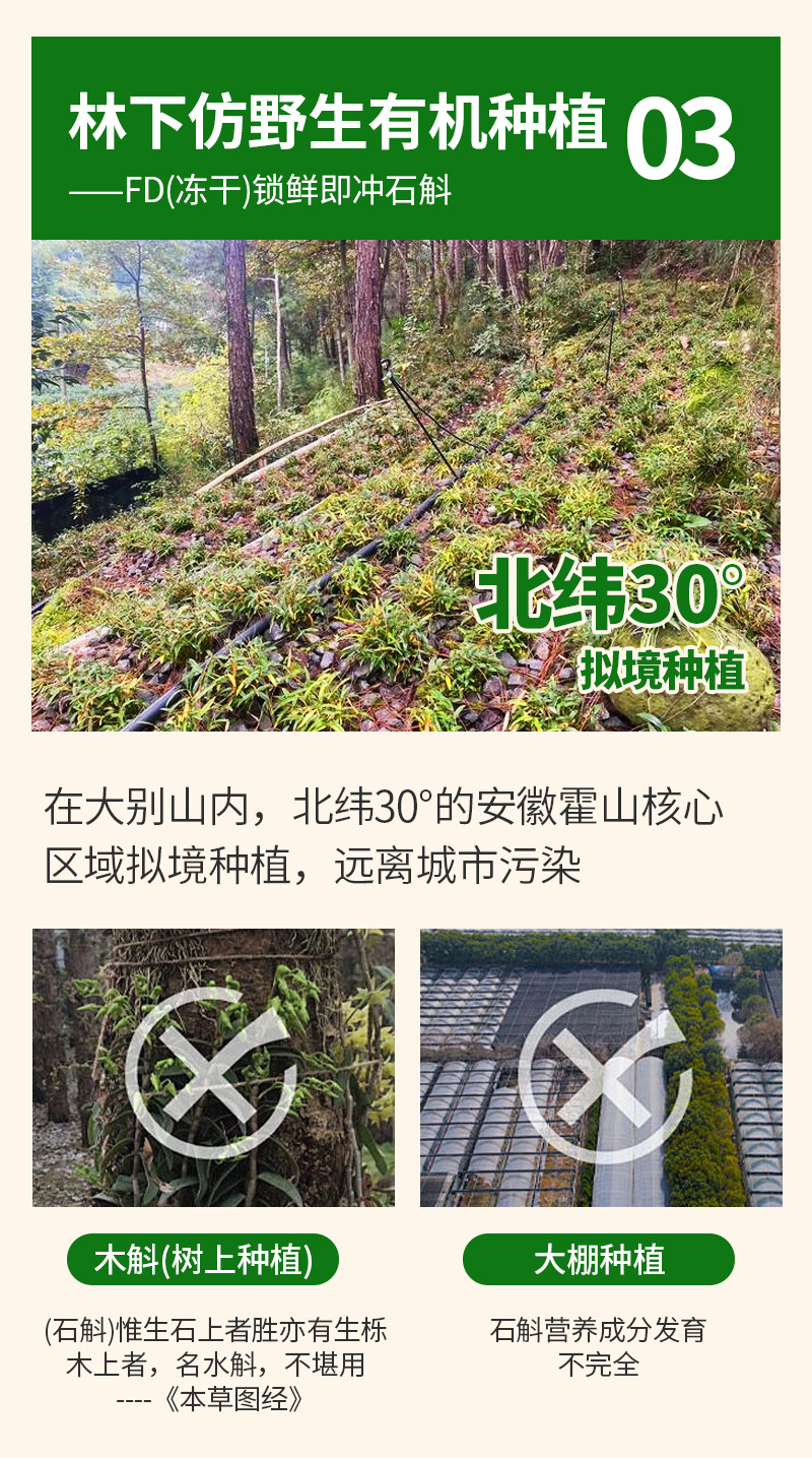 FD Freeze-Dried Shi Hu (Dendrobium) Mini-Jar Tea Gift Box — 5g × 10 Jars, Huoshan Dendrobium specifications