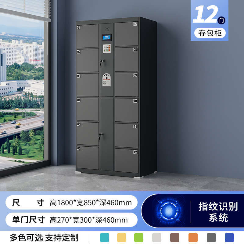 12 fingerprint system