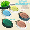Cross -border hydroponic soil planting cat grass seed cat snack cat boxes cat food hair pet supplies wholesale