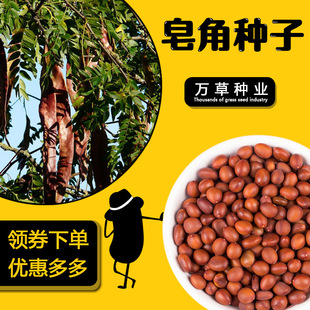 �����ǷN�� �²Ƀ��|�޴̴������ѻh�ʇ������ǘ�N�ӲķN��