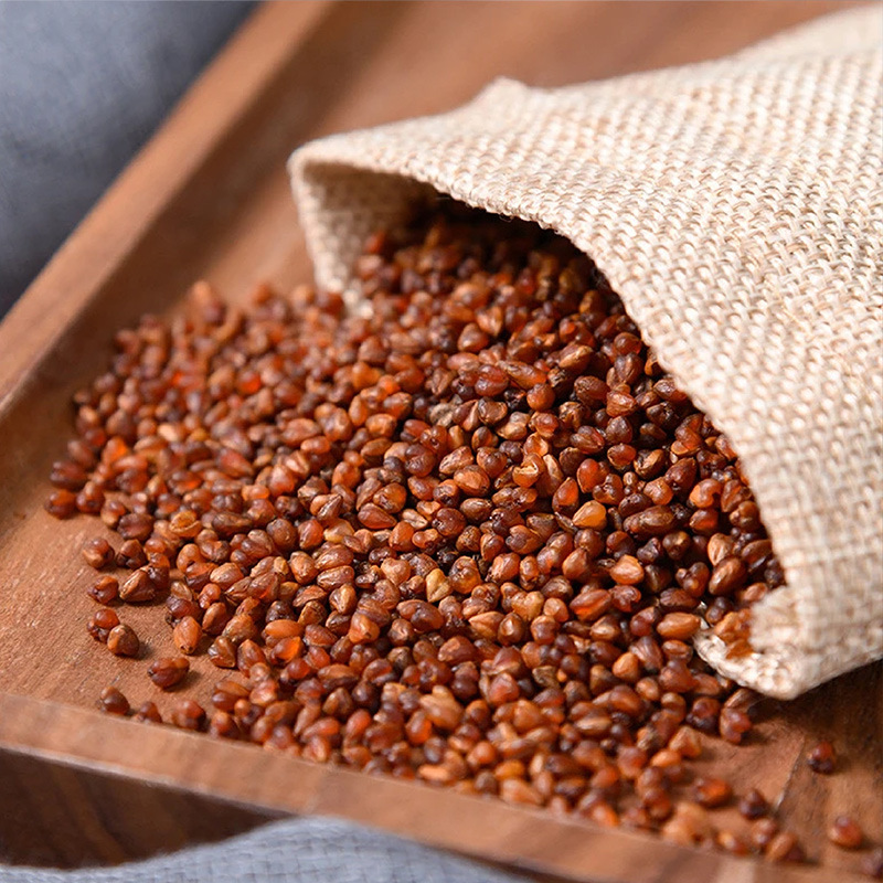 黑苦荞茶四川大凉山黑苦荞乔麦茶罐装500克抖音爆款黑苦荞茶