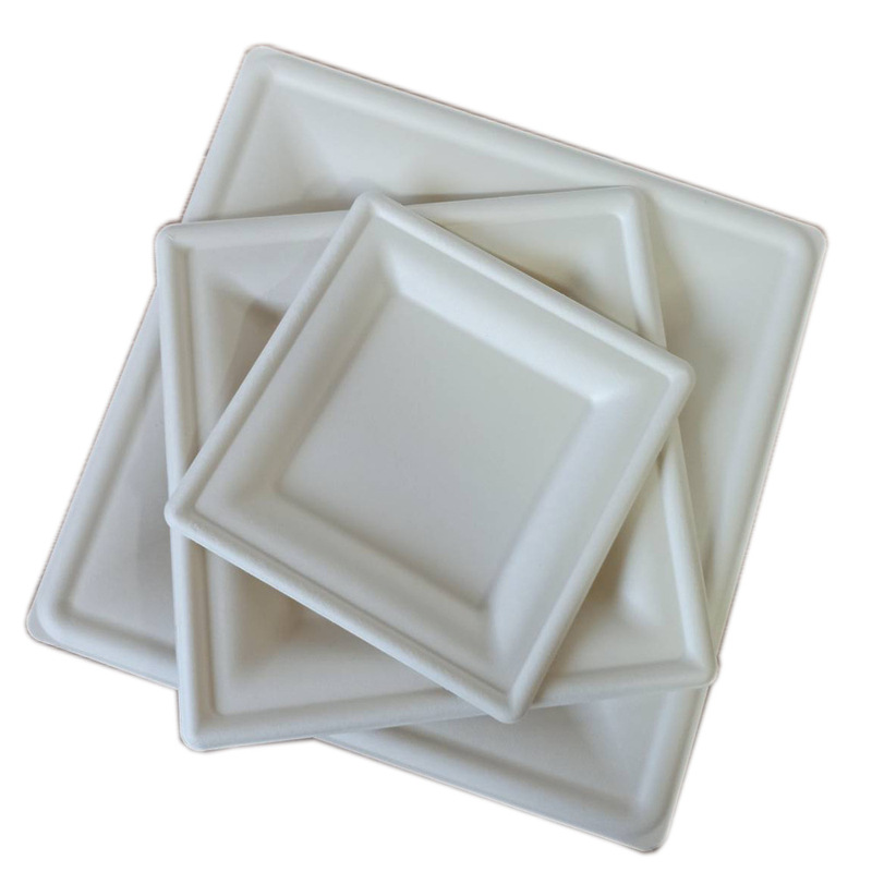 6inch Sugarcane Pulp Tableware Dinner Plate Degradable Disposable Degradable Tableware Dinner Plate Can Compost Square Plate