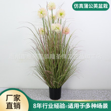 ���W�L�����JȔ�b���ؔzӰ�پGֲ���[�ݲݶѲ����ѹ�Ӣ�쾰����