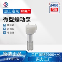 GT19BPW ΢���䶯�� ΢����Һ�� ϴ�ֻ�ֱ��12V������