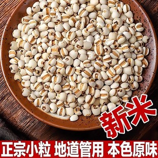 �F���d��С޲����޲������؛����޲�����������r������޲��Ŵ޲��