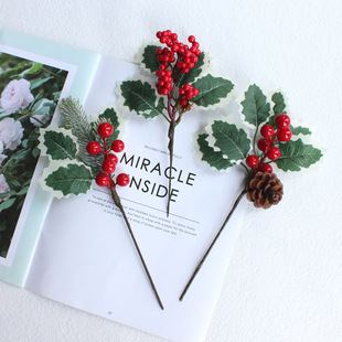 �羳�}�Q�����ɹ�֦�޻���ᘝ{���t��֦�����b�֦�}�Q�b�Ʒ