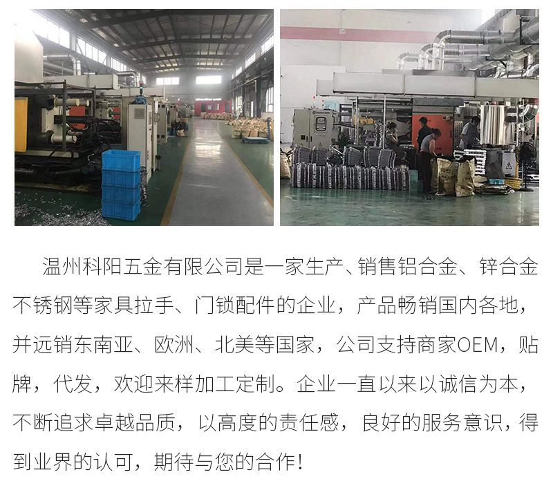 科阳   内页公司简介部分替换.jpg