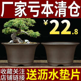 紫砂花盆包邮陶瓷盆景吊兰多肉简约个性创意文竹大号菖蒲