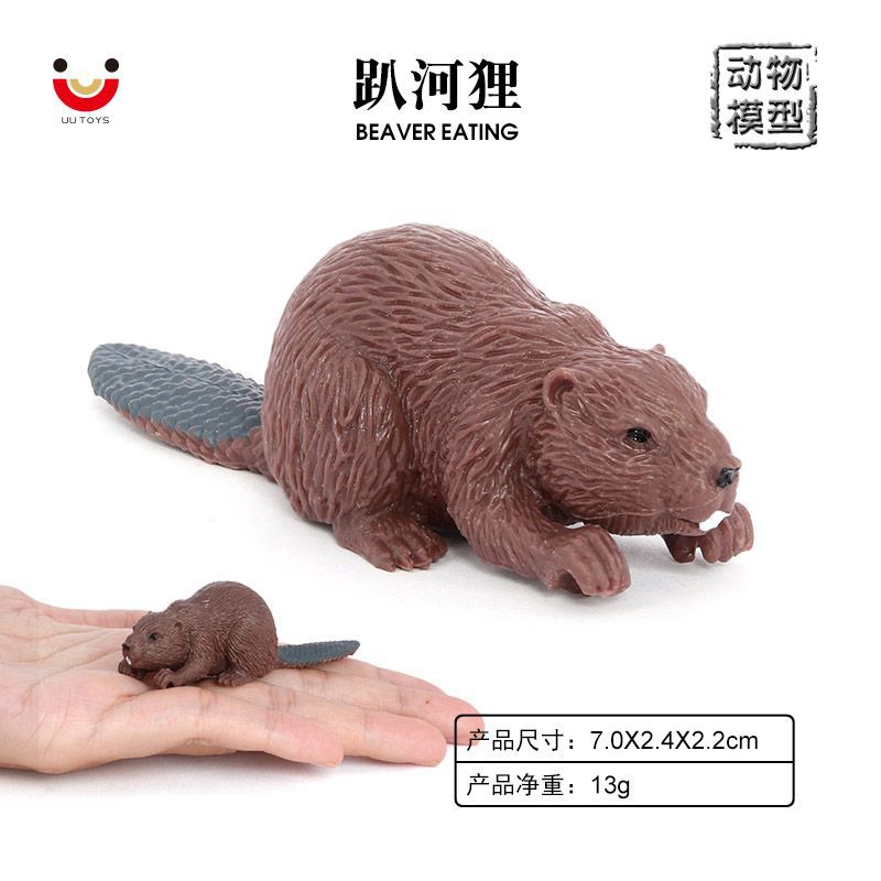 仿真實心野生動物模型河狸海狸趴姿小河狸兒童早教認知玩具擺件