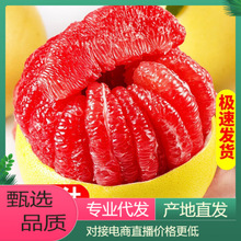 【一件铺货】现摘红心柚蜜柚新鲜水果柚子对接电商直播产地直发