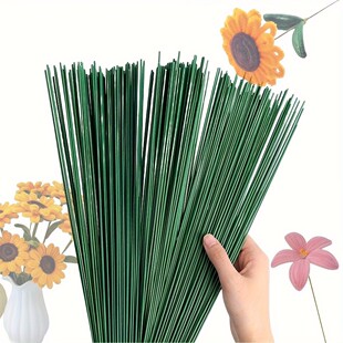 녹�Դ�^���S���l30cm�L���U��ˇ��߅