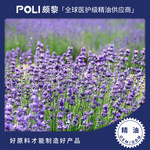 新疆薰衣草精油 天然植物提取原料 芳疗师薰衣草单方精油香薰批发