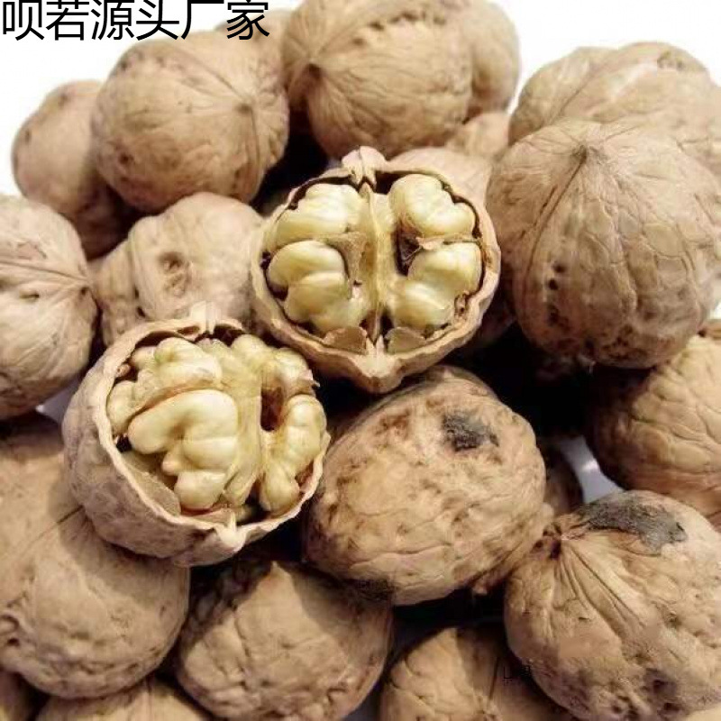 陕西秦岭核桃农家老树山核桃去皮干核桃散装核桃源头一件批发