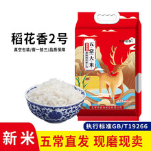 正宗五常大米10斤2023年新米原粮稻花香2号东北黑龙江五常特产米
