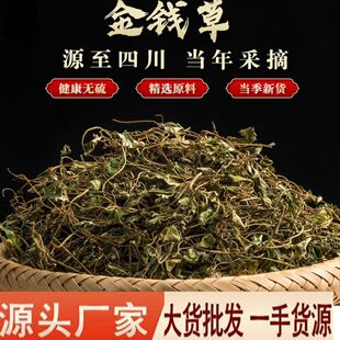 ���X���Ĵ�Ұ�����~500���ֹ����x�Ƀ��o�s������Ʒ��Gɫ�^·�S