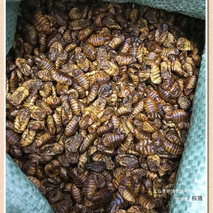 蚕蛹买饲料饲料级起干纯5干斤蚕蛹龙虾打窝包邮鸟食蚕蛹鱼饵蚕蛹